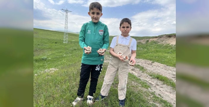 Kars’ta mantar bereketi: Çocuklar doğada hem eğlendi hem topladı