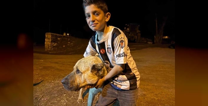 Köyde iki ayının saldırısına uğrayan Sencar’ın imdadına çoban köpeği Kral yetişti