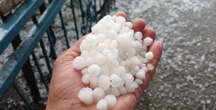 Malatya’da dolu kayısı bahçelerine zarar verdi