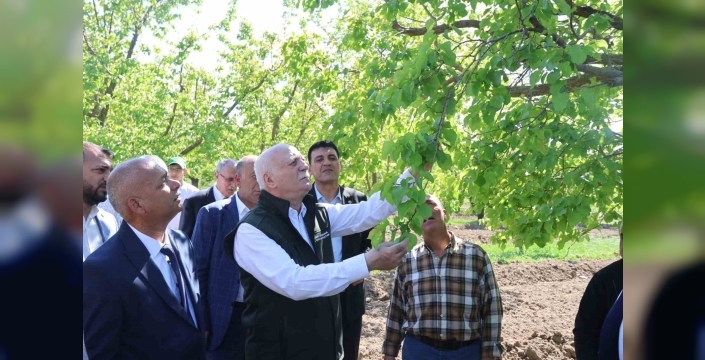 TZOB Genel Başkanı Bayraktar: "Iğdır’daki kayısı bahçelerimiz dondan zarar gördü"