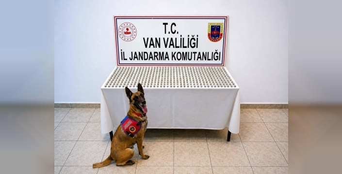 Van’da 8 İranlı’nın midesinde 3 kilo esrar ele geçirildi