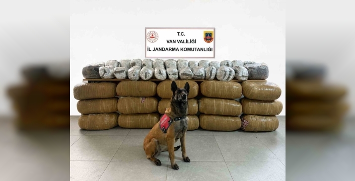 Van’da yarım tona yakın uyuşturucu ele geçirildi